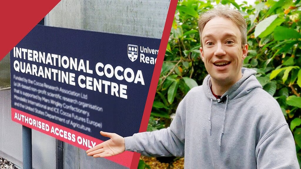 The International Cocoa Quarantine Centre Tracking with Closeups