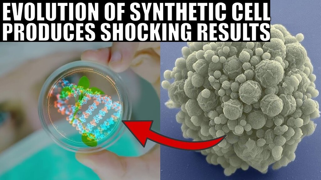 Life Finds a Way”—Synthetic Minimal Cell Evolves to Recover Lost