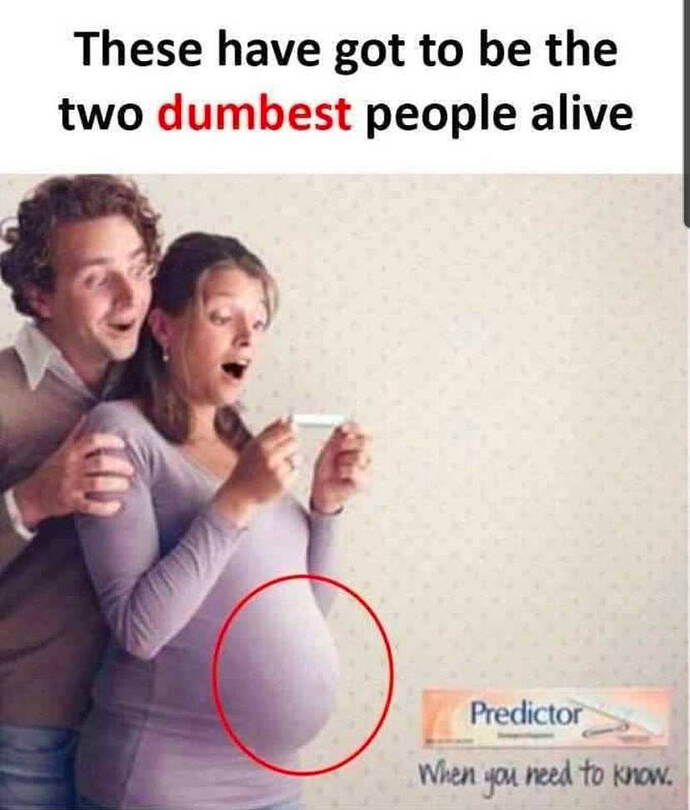 2-dumbest-people