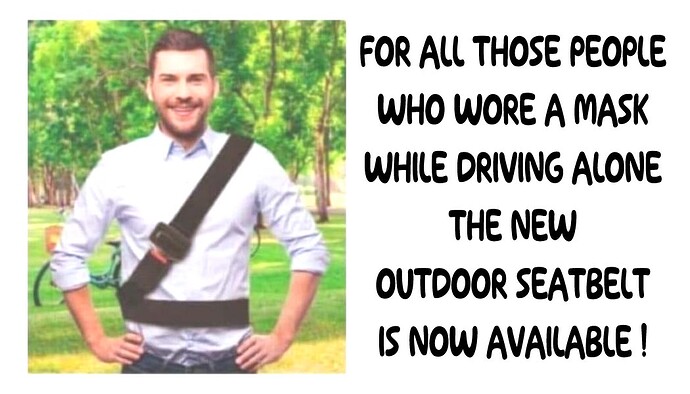 outdoor seatbelt