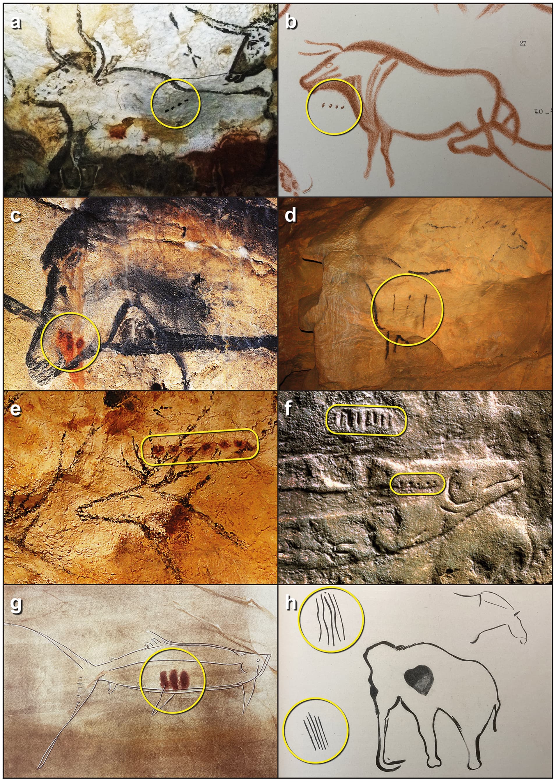 Were Symbols In Paleolithic Cave Paintings The First Calendar   Bd08c115823f732cc978818ff21b59737e3c865d 